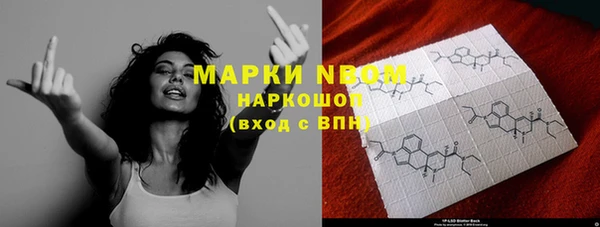 ПСИЛОЦИБИНОВЫЕ ГРИБЫ Краснослободск