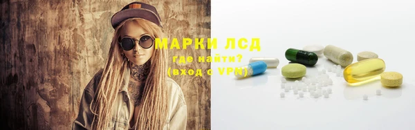 ПСИЛОЦИБИНОВЫЕ ГРИБЫ Краснослободск