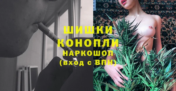 ПСИЛОЦИБИНОВЫЕ ГРИБЫ Краснослободск