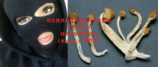 ПСИЛОЦИБИНОВЫЕ ГРИБЫ Краснослободск