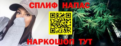 спиды Гудермес