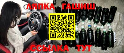 прущие грибы Гатчина