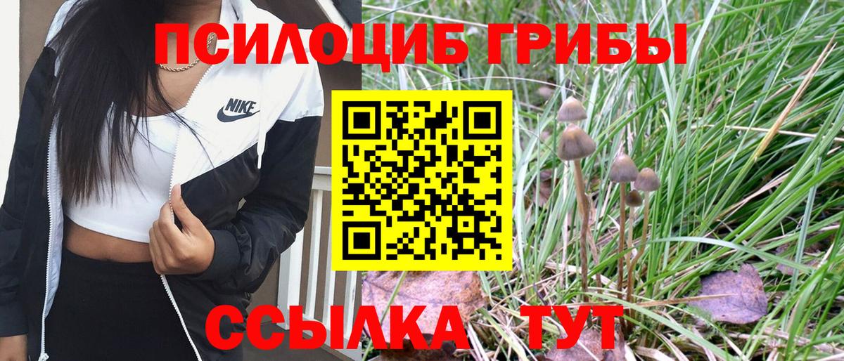 Псилоцибиновые грибы Magic Shrooms Барнаул