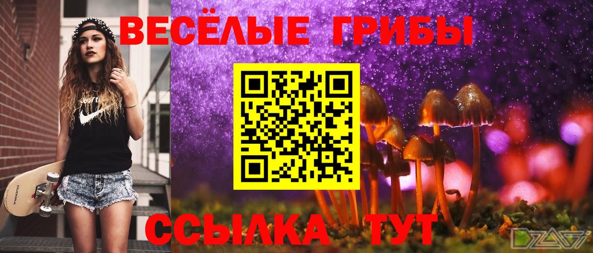 Галлюциногенные грибы ЛСД  Барнаул 