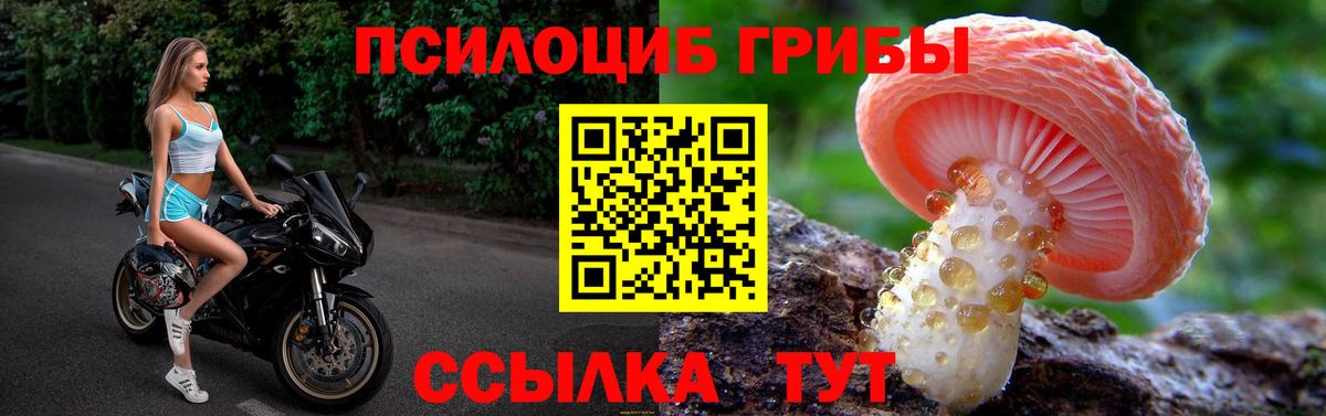 Псилоцибиновые грибы прущие грибы  Псилоцибиновые грибы Cubensis  Вход с VPN  Барнаул 